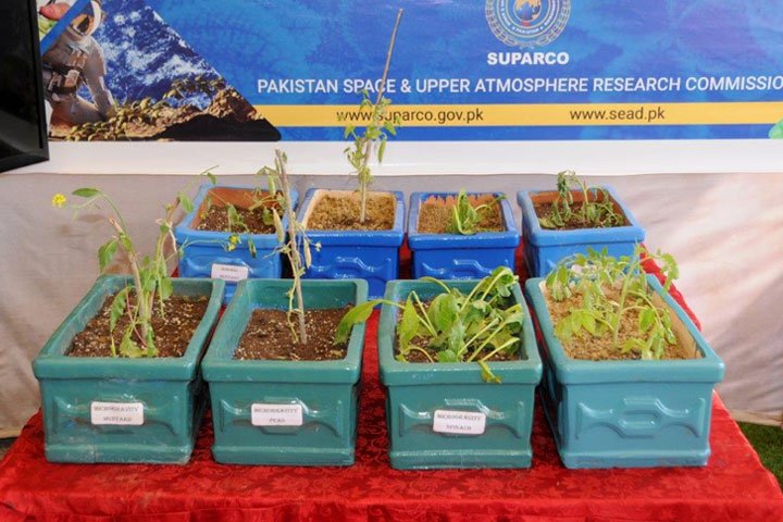 Microgravity Experiments